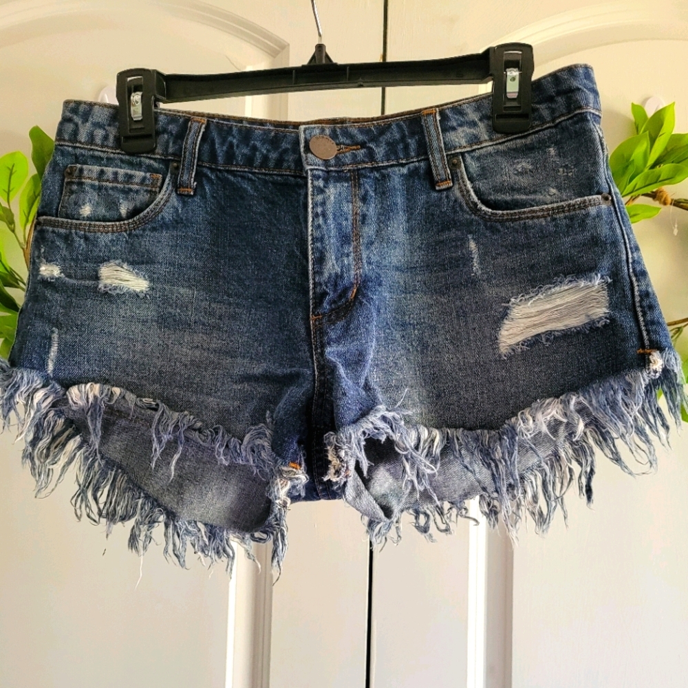STS Blue denim shorts